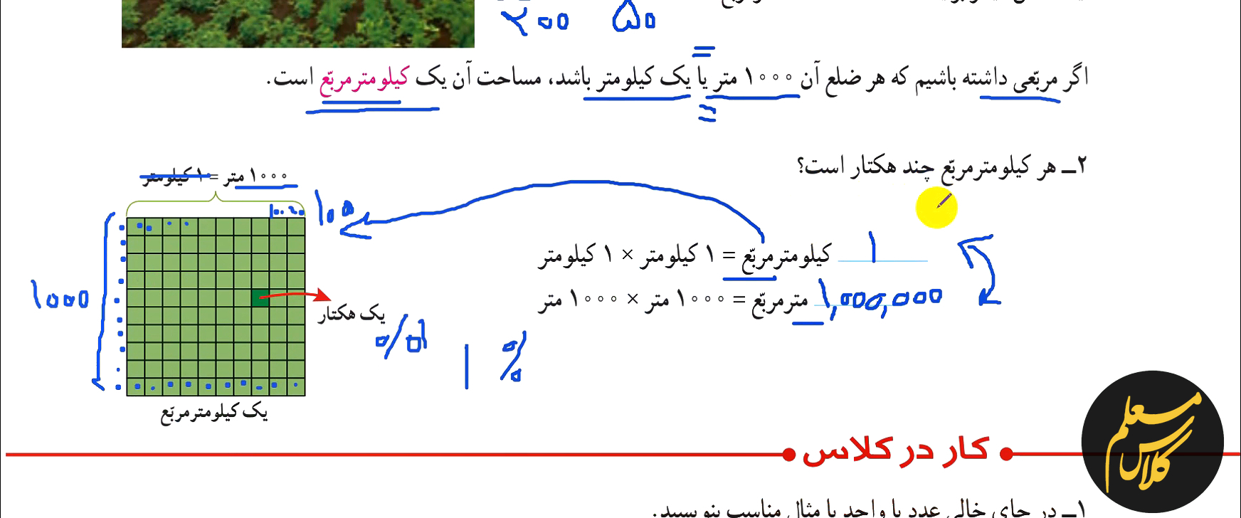 معلم خصوصی خانم ریاضی