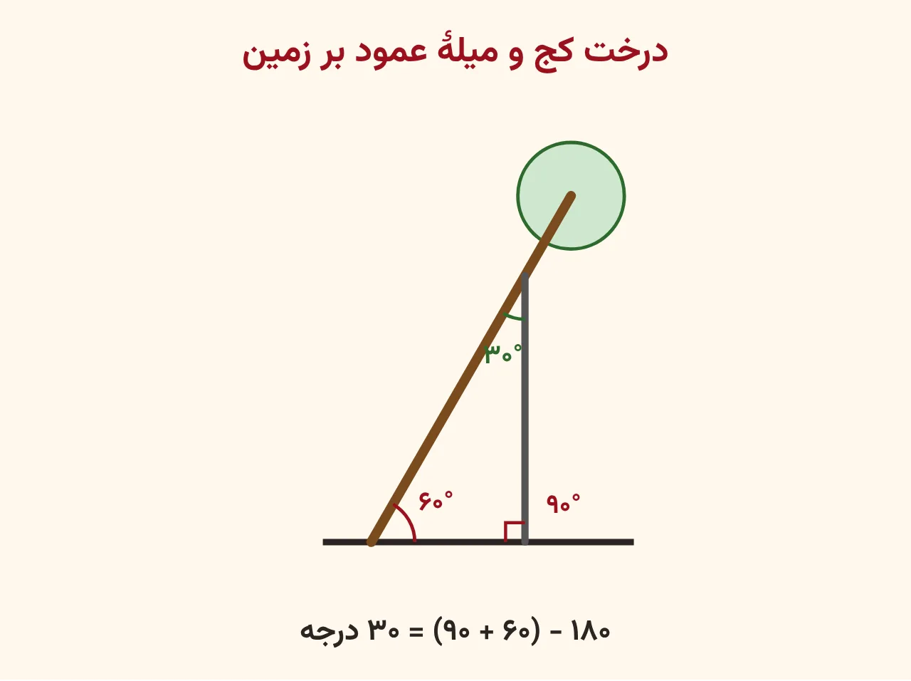 درخت کج با تنهٔ قهوه‌ای که با زمین زاویهٔ ۶۰ درجه ساخته و میلهٔ خاکستری عمود بر زمین که به تنه تکیه داده؛ زاویهٔ راست ۹۰ درجه پای میله و زاویهٔ ۳۰ درجهٔ سبز بین میله و تنه در بالا، آموزش صفحه ۱۱۶ ریاضی پنجم
