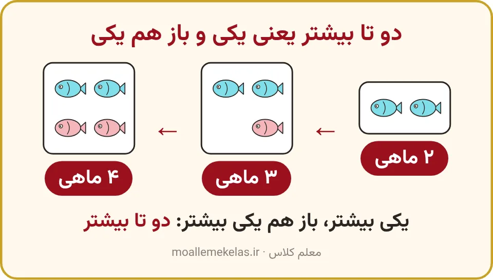 دو ماهی، سه ماهی و چهار ماهی برای دو تا بیشتر، تمرین صفحه ۱۹ ریاضی اول