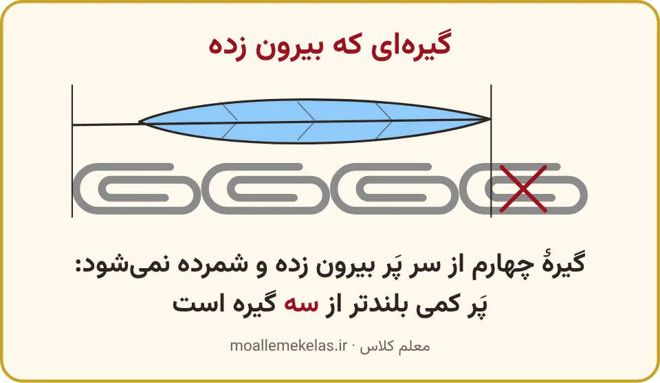 گیرهٔ چهارم که از سر پَر بیرون زده است