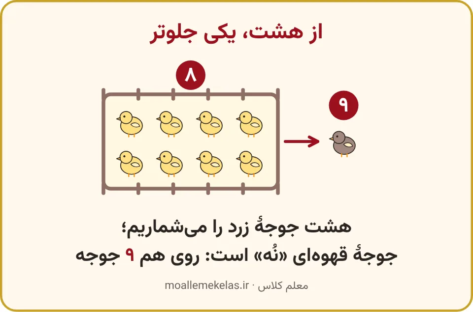 هشت جوجهٔ زرد در پرچین و یک جوجهٔ قهوهای که روی هم نه جوجه میشوند، تمرین صفحه ۸۱ ریاضی اول