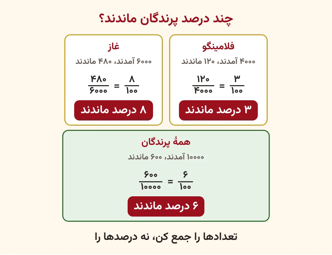 دو کارت فلامینگو و غاز با نسبت صد و بیست به چهار هزار و چهارصد و هشتاد به شش هزار که سه درصد و هشت درصد می‌شوند، و کارت همهٔ پرندگان ششصد به ده هزار یعنی شش درصد، آموزش صفحه ۹۴ ریاضی پنجم